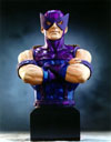 Hawkeye_Bust(t).jpg