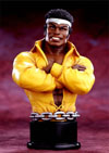 Power-Man_Bust(t).jpg