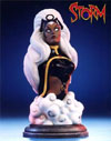 Storm_Bust(t).jpg