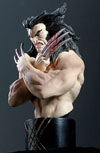 Weapon_X_Bust(t).jpg