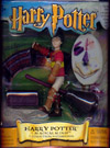 harrypotter(mini)t.jpg