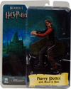 harrypotterwithwandandbase-t.jpg