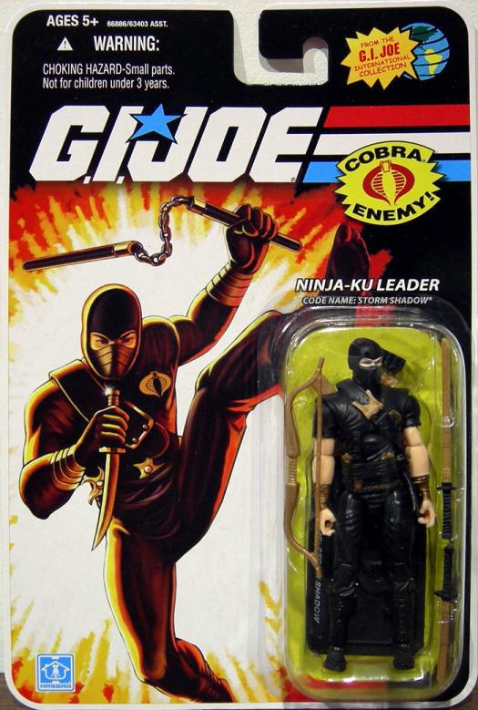 Ninja-Ku Leader Code Name- Storm Shadow